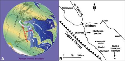 Sponge Takeover from End-Permian Mass Extinction to Early Induan Time: Records in Central Iran Microbial Buildups